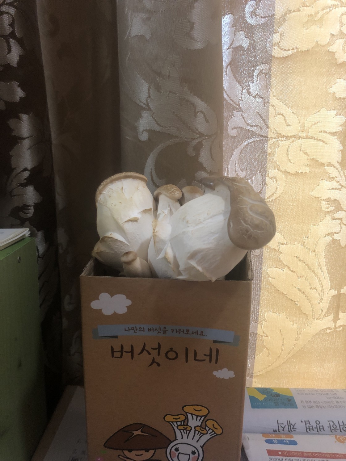 0d9609e73e6d24665d344d62c1c42442_1615541295_9074.jpg